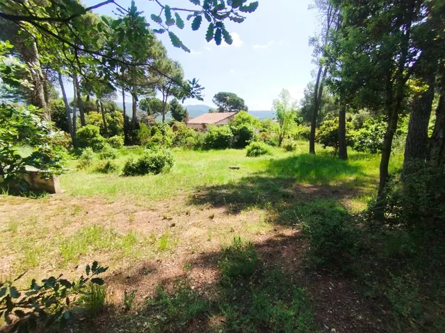 TERRENO URBANO, LLANO, CON MURO Y AGUA IDEAL PARA CONSTRUIR — 6