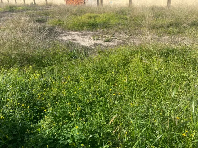 Exclusiva Parcela de 250 metros en La Torreta, Elche — 13