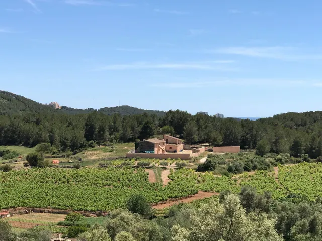 Finca de aprox 67 hectàreas. Con dos casas principales para reformar — 17
