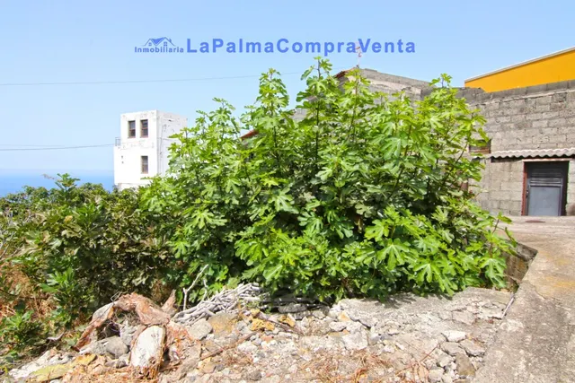 Solar urbano en Venta en San Andres Y Sauces Santa Cruz de T - foto 3
