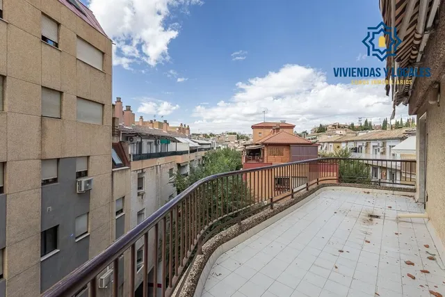 Pisazo en paseo del salón - Granada — 34