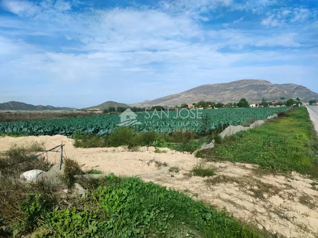 NUEVA PROPIEDAD SE VENDE TERRENO RURAL EN MONFORTE DEL CID EN EL CAMINO SAN VICENTE — 3