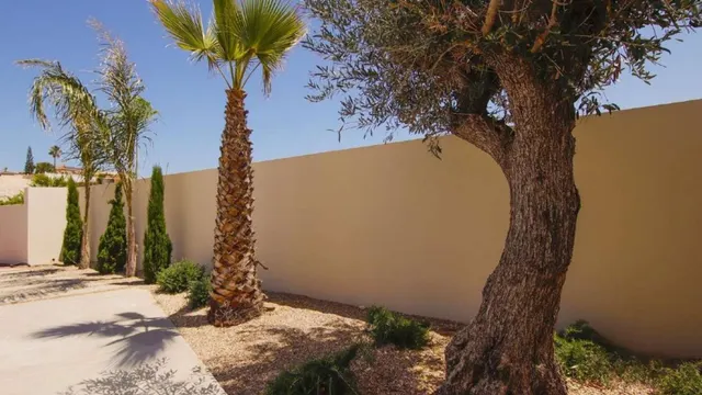 Villa 4 habitaciones 350m² en venta - La marina — 31