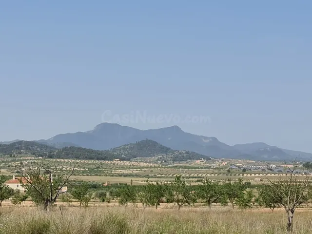 Parcela en venta - Jumilla centro - foto 5