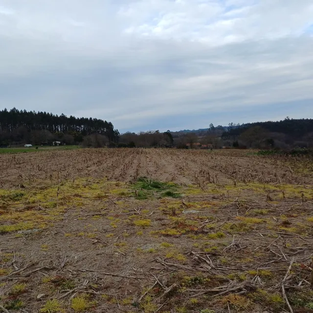 SE VENDE CASA DE ALDEA EN ARZUA PARA REFORMAR — 41