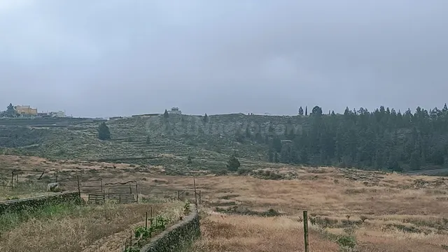 SE VENDE FINCA RÚSTICA EN SANTA CRUZ DE TENERIFE ( VILAFLOR) - foto 5