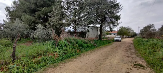 TERRENO TERCIARIO EN MAIRENA DEL ALJARAFE — 9