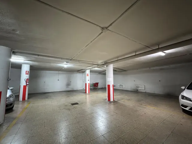 Amplio y Luminoso Piso con garaje en Carolinas — 24