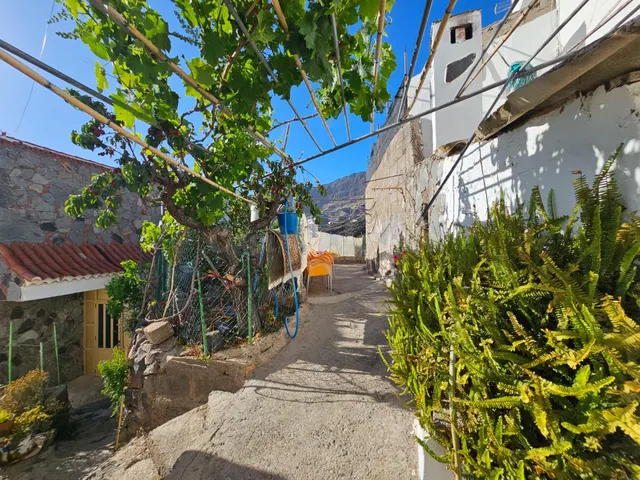 CASA TERRERA CON TERRENO EN TEJEDA - LAS PALMAS DE GRAN CANA - foto 2