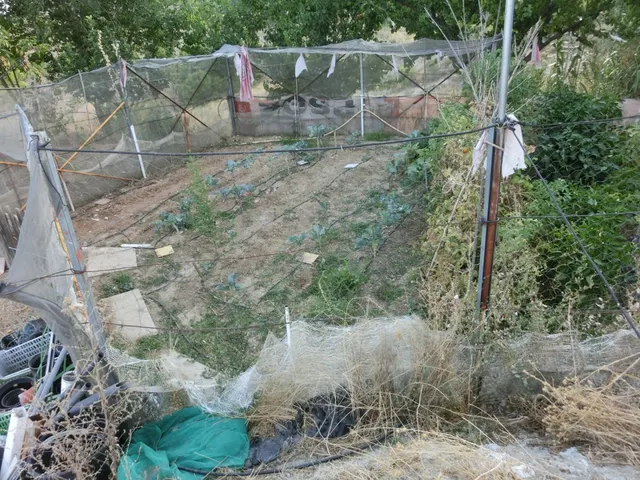 FINCA EN URBANIZACION VALGRANDE — 32