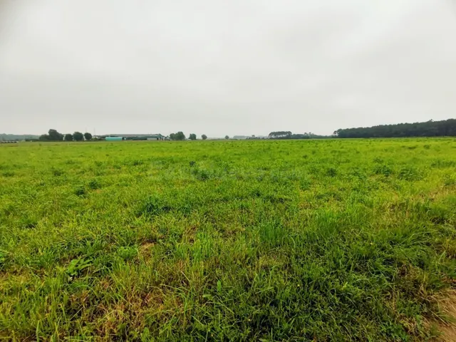 Parcela urbana edificable en Brul (Castropol) – 1.367 m2 – i - foto 2