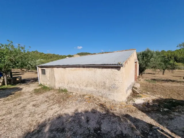 Tenemos en la zona de Tivissa un Almacen con muchas posibili - foto 3