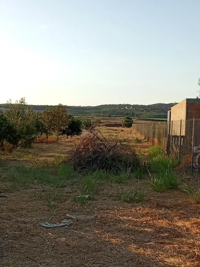 Terreno de regadío en venta para uso agrario - foto 4