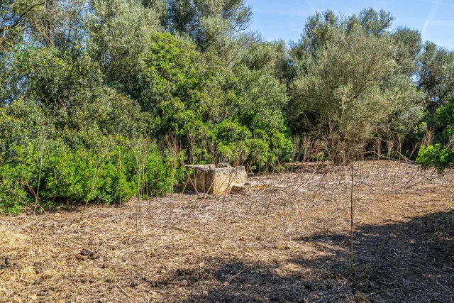 Se vende terreno rústico urbanizable en Sencelles - foto 4