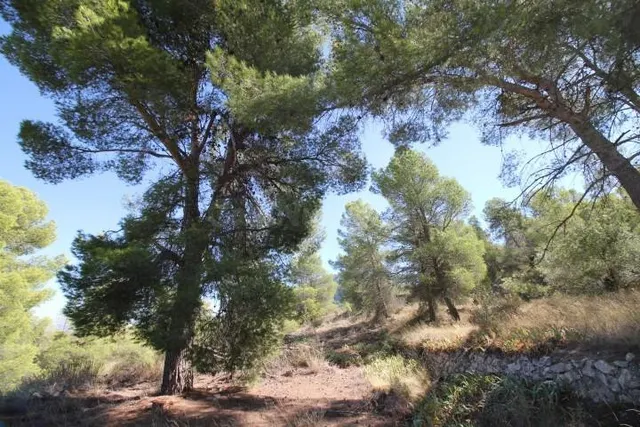 IMPRESIONANTE FINCA DE 30 HECTÁREAS CON TERRENO CULTIVABLE Y - foto 2