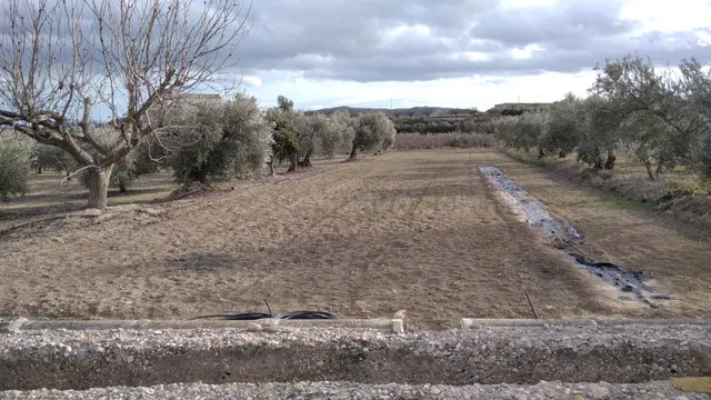 Parcela en venta - Calasparra
