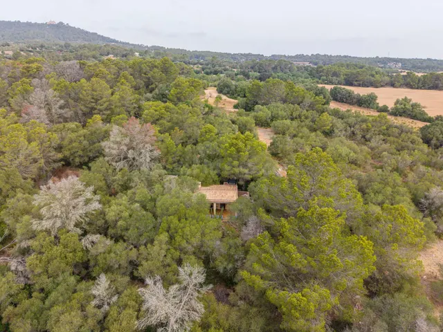 Encanto rústico en plena naturaleza, a solo 5 minutos de Es Cruce – Petra, Mallorca — 3