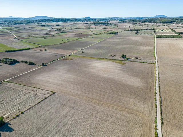 Terreno de 42.618m2 con Proyecto Basico y Ejecutivo Aprobados, mas Licencia para casa de 204 m2 — 17