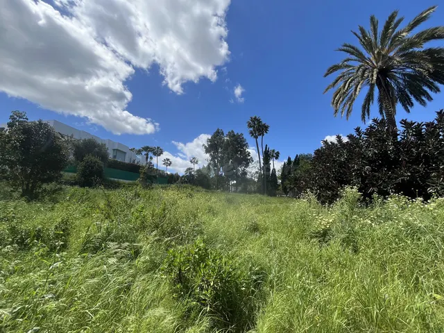 Parcela en venta - Sotogrande Costa - foto 5