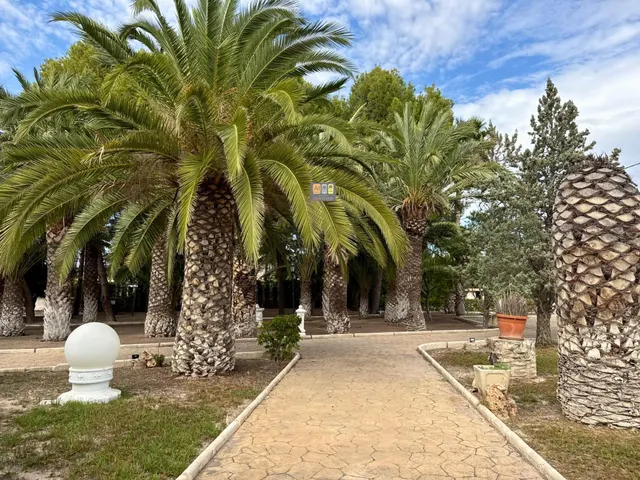 FINCA EXCLUSIVA CON GRAN POTENCIAL EN ELDA — 7