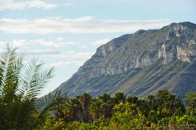 Apartamento 3 habitaciones 102m² en venta - El Palmar-Los Molinos — 34