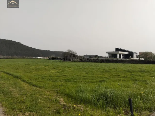 FINCA URBANA 2875M2 EN VERNEJO (CABEZON DE LA SAL) - foto 2