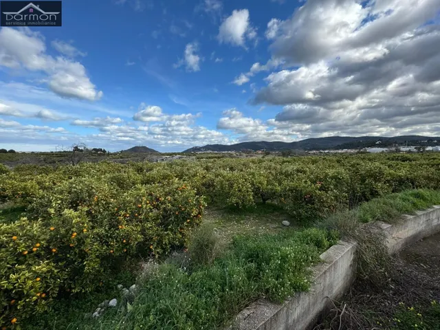 Oportunidad de Inversión: Terreno Rural en Palma de Gandia - foto 2