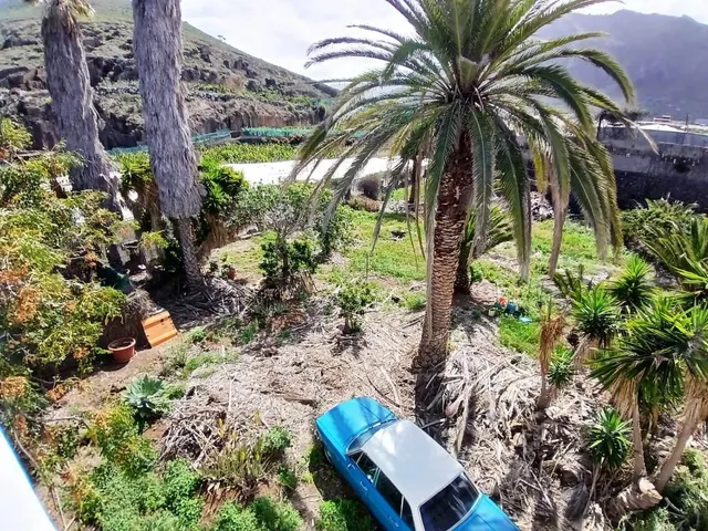 Casa con finca en Buenavista del norte — 34