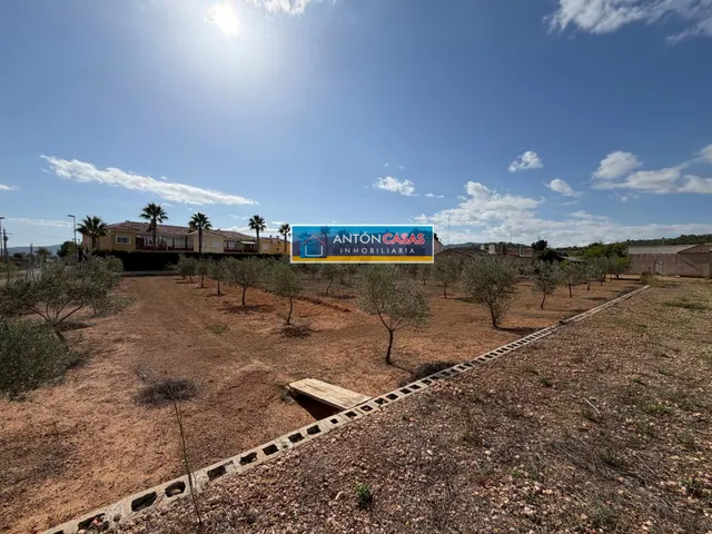 CASA REFORMADA CON TERRENO RÚSTICO DE 3.000 M2 EN ÚBEDA – PINOSO — 39