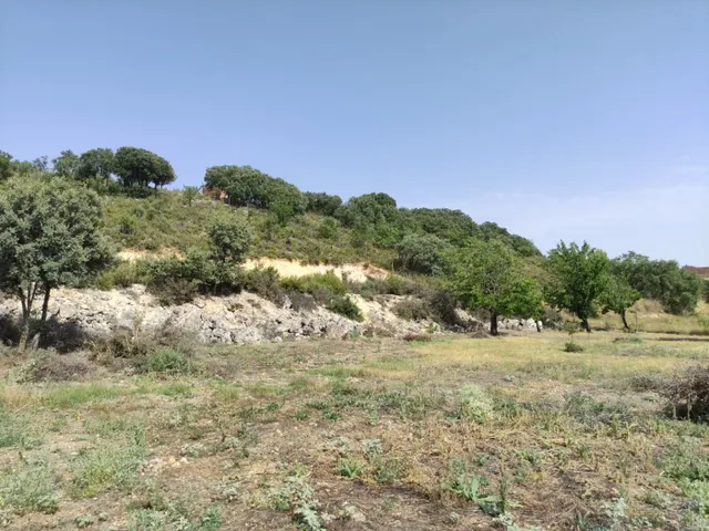 SE VENDE TERRENO URBANO EN URBANIZACIÓN FUENTE TAJUÑA DE LORANCA DE TAJUÑA (GUADALAJARA) — 43