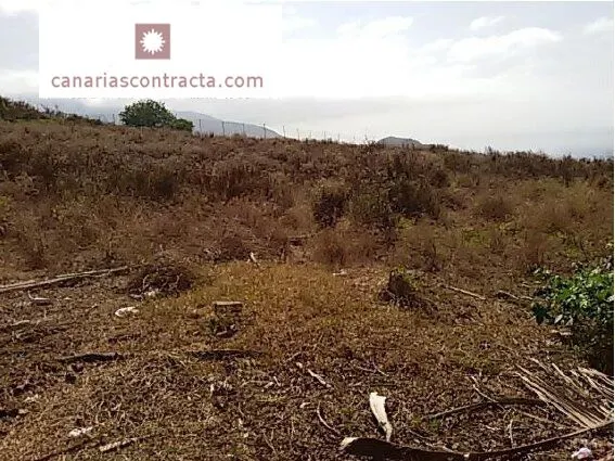 Terreno urbano no consolidado en la Cruz del Teide — 5