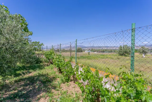 "¡Vive la vida en el campo! Terreno con casa de aperos y cultivos de olivos y frutales en ve — 24