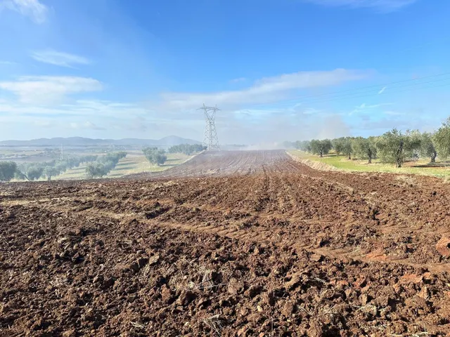 VENTA SUELO RUSTICO- ARABLE DE 51.400 M2, EN BODEGONES - SAL