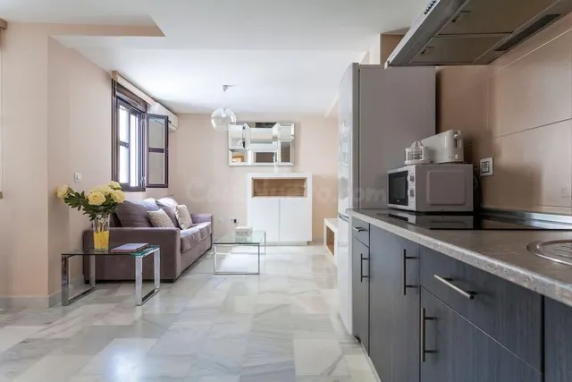 Centro Santa Catalina, junto Plaza Ponce de León. Excelente y coqueto apartamento de calidades se alquila. — 5