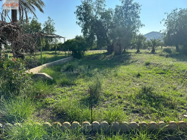 FINCA AGRARIA DE 4,5 HA CON CORTIJO - foto 4