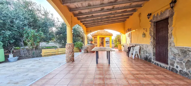 Chalet unifamiliar con árboles frutales en Urb. es Pinaret, Marratxí — 27