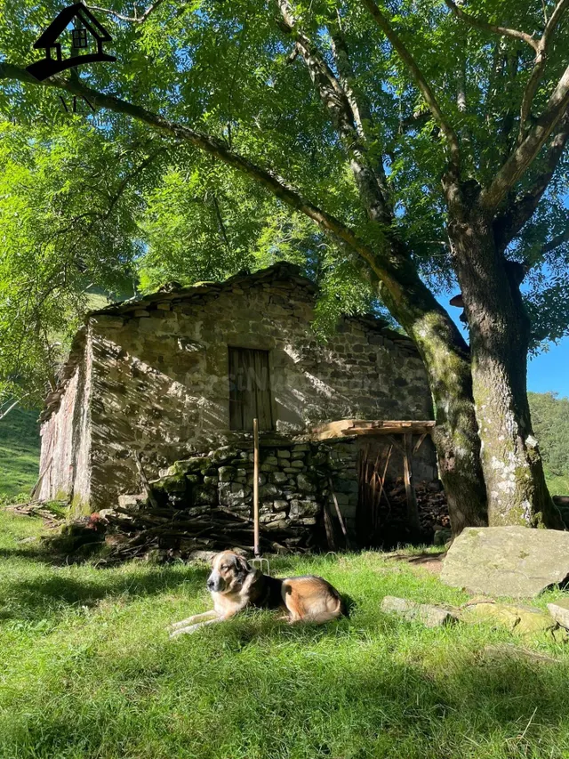 CABAÑA PARA REFORMAR EN EL CORAZÓN DE SELAYA - foto 5
