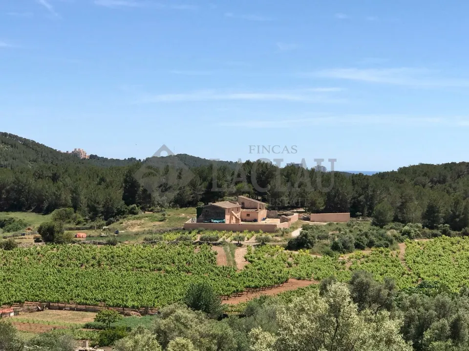 Finca rústica con dos casas a cinco minutos de Sitges.