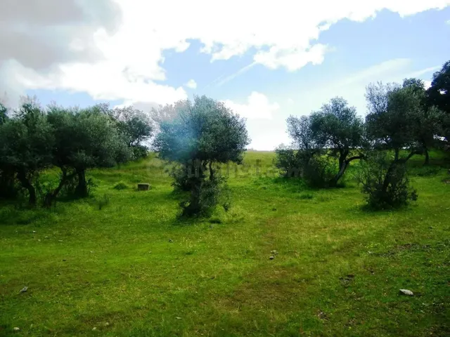 Solar urbano de 5.347 m2 para 16 chalets junto al Pantano de Valdecañas — 5