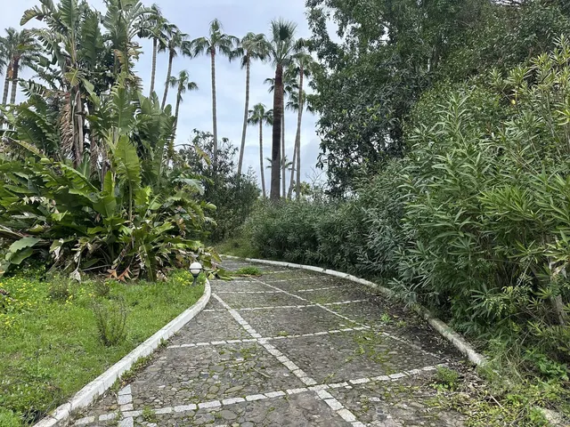 Parcela en venta - Marbella — 11