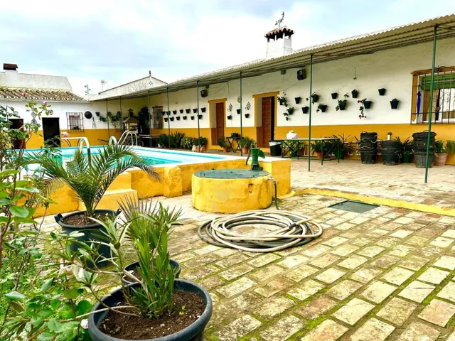 Almodóvar. Parcela de terreno de unos 1400 m con casita y pi