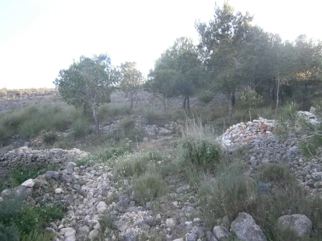 CASA DE CAMPO EN MONOVAR — 25