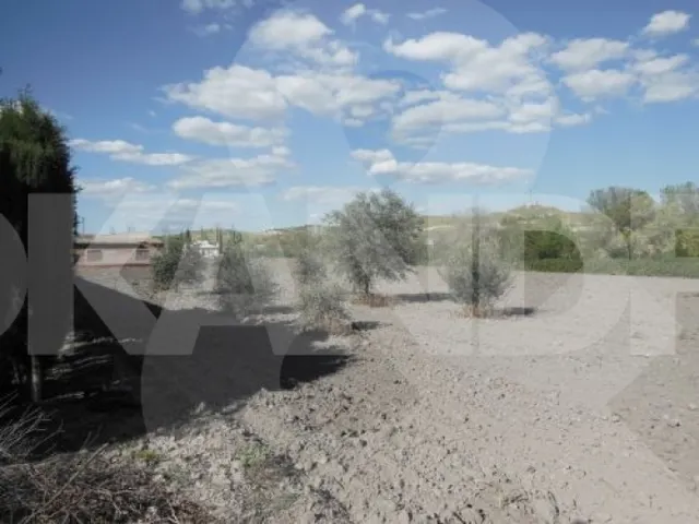 Casa TIPICA DE PUEBLO CON FINCA IDEAL PARA CASA RURAL — 15
