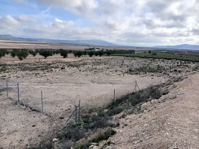 Parcela en venta - Yecla — 34