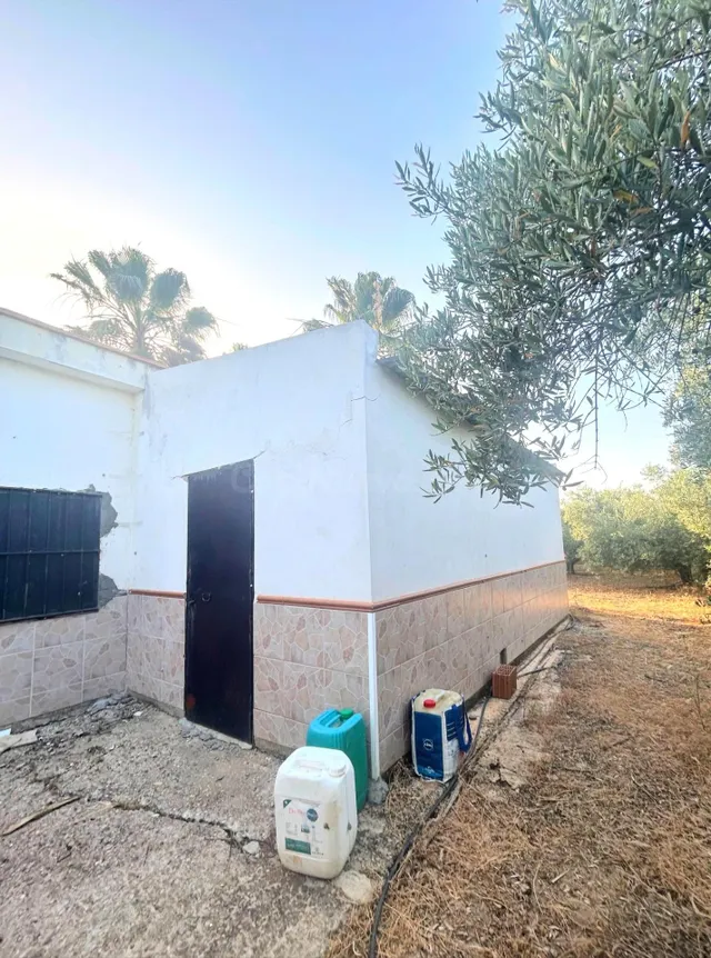 ¡Tu Paraíso entre Olivos te Espera en Alcolea del Río! - foto 3