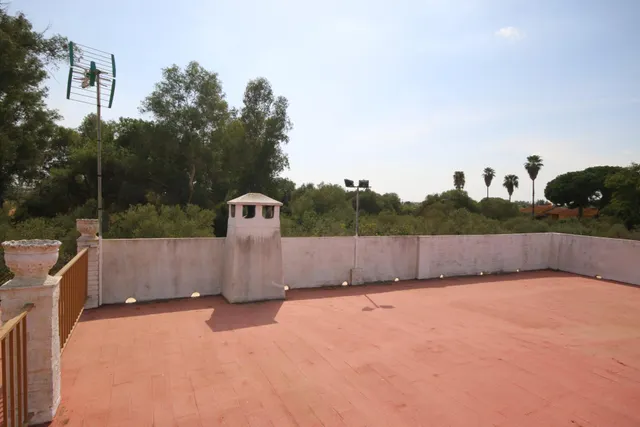 Excepcional Finca Rústica Recién Reformada con Piscina y 5.200 m2 de Parcela en El Pintado, Gibraleón — 14