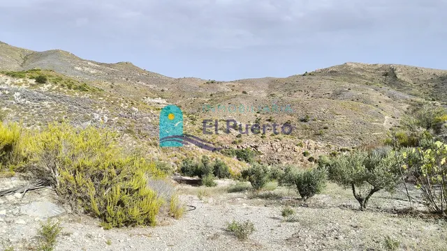 TERRENO RUSTICO CON CASA EN RUINA PARA REFORMAR - foto 5