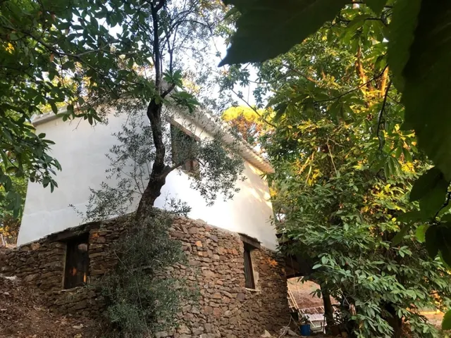 Casa de campo-Masía en Venta en Genalguacil Málaga - foto 3