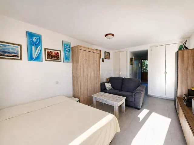 ESTUDIO EN PALMANOVA A 50 METROS DE LA PLAYA CON PISCINA, PA - foto 4