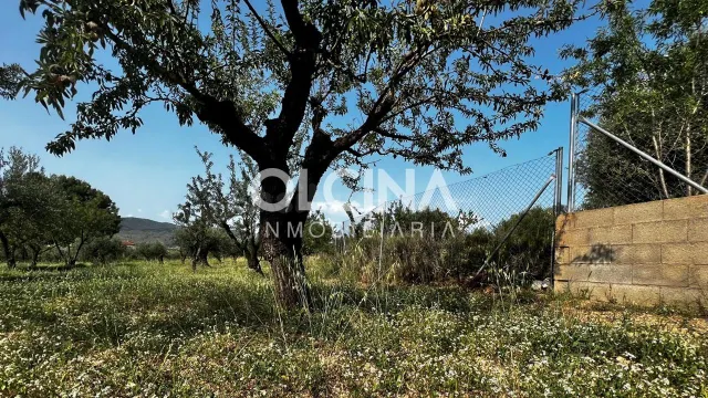 Terreno rural en venta - Els Plans — 4